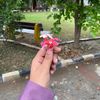 maryam.batool105