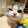 isalma_7230