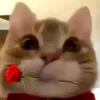 hoanghaidang_209