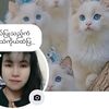 mya.mya.htet59