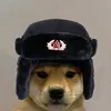 Dog_Rankings