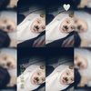 ais_suka.egi
