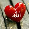 maalah29