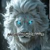user48680478122