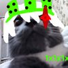 zimber_n1