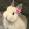 kawaiiii206