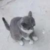 moni.bomboni5