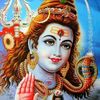 jd.vijay.vidu