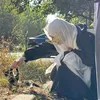 أمَوٌاَجّ