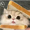 ngocchaani_0611