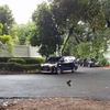 robipratama466