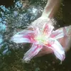 mina_kanroji13