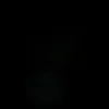 .arg39