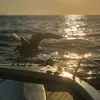 gianfrysboat