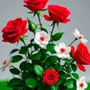 nimra.queen7239