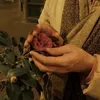 rr_li19