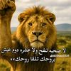 user9224724440677