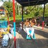 aldy_wardino