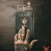 mbtsofia7