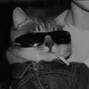 justalvin4