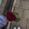 razan.rade