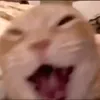 ._.461