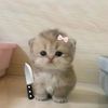 milaa.mohmed