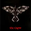 believe_in_the_crow