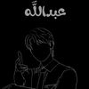 user82096131683311