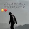 user1167570081681