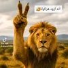 ahmed.targui.ahme