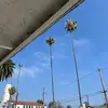 mikethomas7434