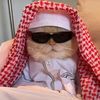 zeyad_093