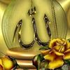 11mmemo223