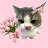 erwa_2