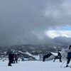 aricoles1
