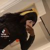 atk.liyah2