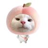 lovelyz204