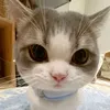 user1253336196137