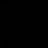 ryc_300