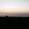 elit.cees995