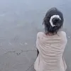 dieung_227