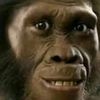 monkey94108