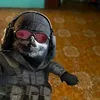 meliscpdb6n