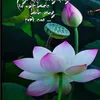 user1318761083382