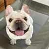 Cutelorde_France