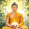 annhiensong49