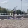 1vyy4