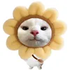 mewww307