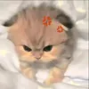 phuong_ly2675